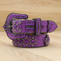 Decorative stone jewel belt